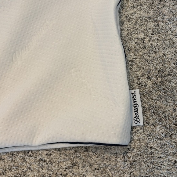 King size Beautyrest thick pillow cases protector with zipper - Picture 2 of 6